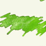 Yeouido Stationery Ink Bottle, Bamboo in the Wind (50ml) *Ink cannot be purchased separately.